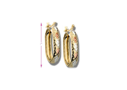 Three Tone Plated | Fashion Earrings